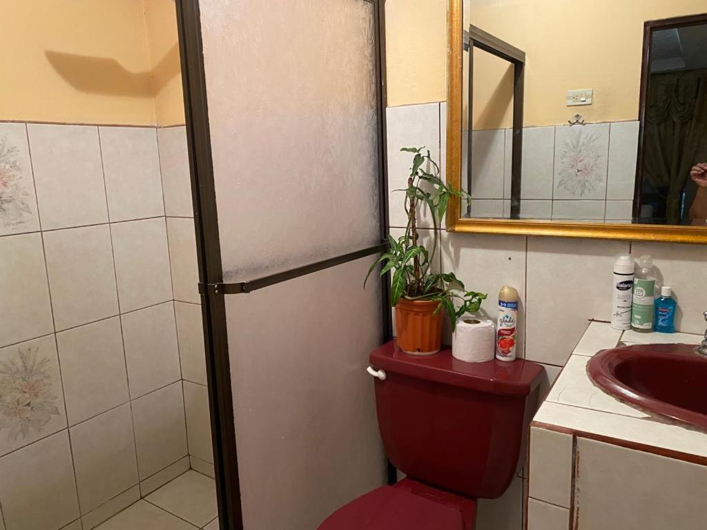 Apartament Casa Lupita Alajuela Zewnętrze zdjęcie